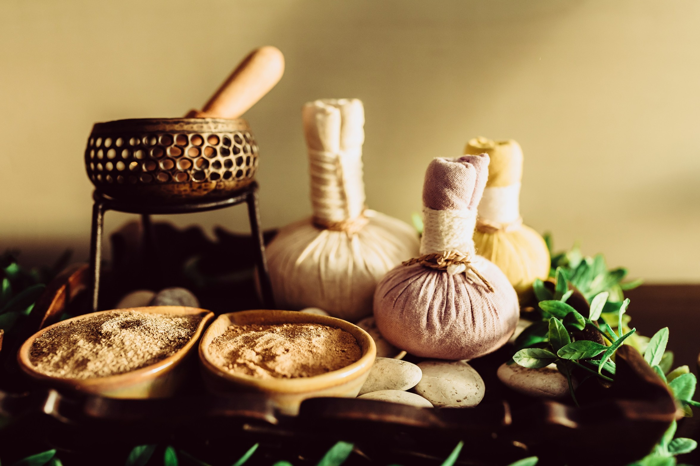 Ayurvedic Healing